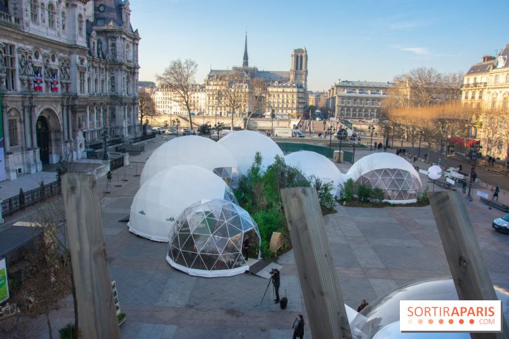 La forêt, une expérience à vivre sur le Parvis de l'Hôtel de Ville