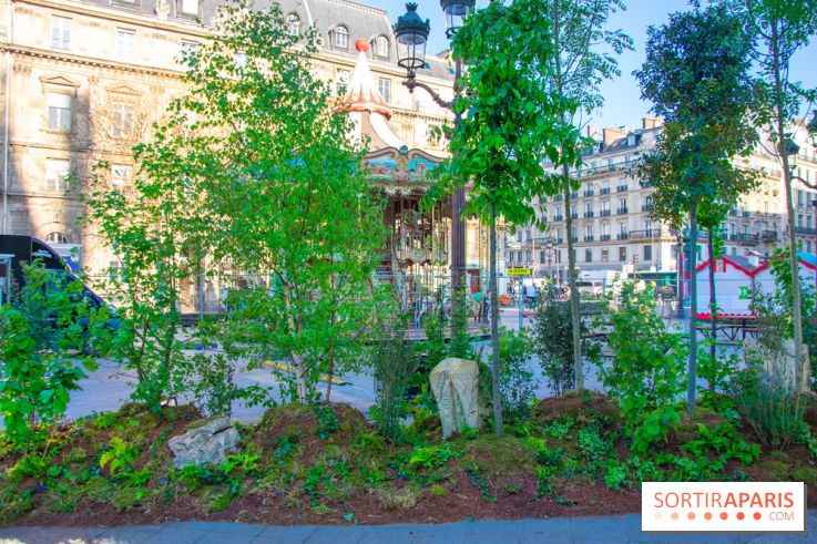 La forêt, une expérience à vivre sur le Parvis de l'Hôtel de Ville