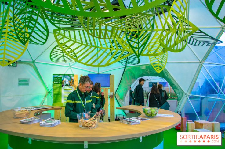 La forêt, une expérience à vivre sur le Parvis de l'Hôtel de Ville