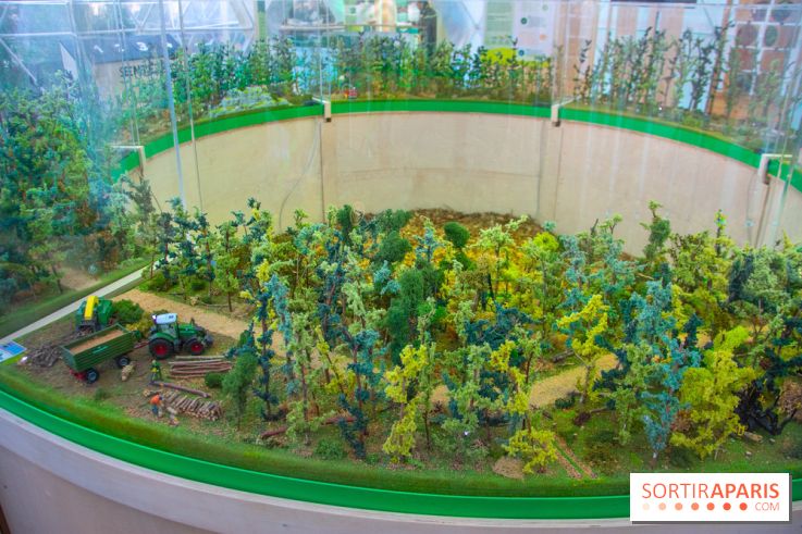 La forêt, une expérience à vivre sur le Parvis de l'Hôtel de Ville