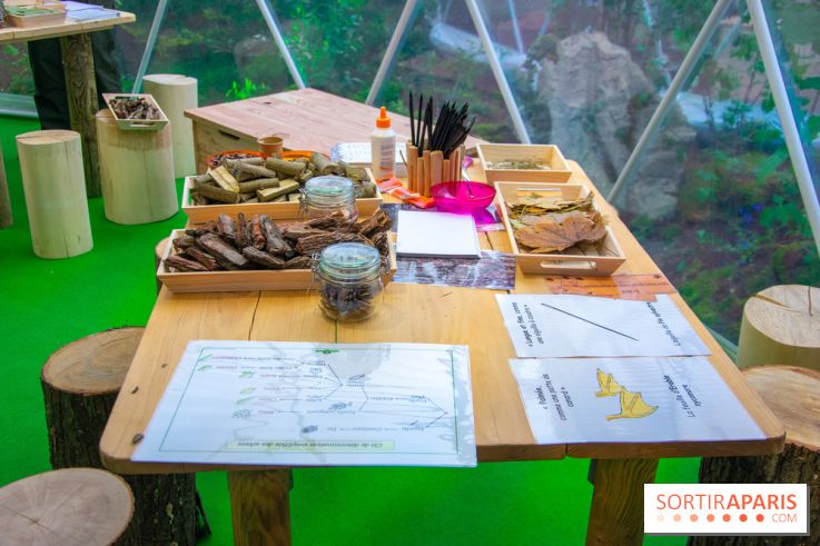 La forêt, une expérience à vivre sur le Parvis de l'Hôtel de Ville