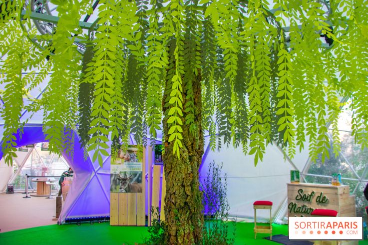 La forêt, une expérience à vivre sur le Parvis de l'Hôtel de Ville
