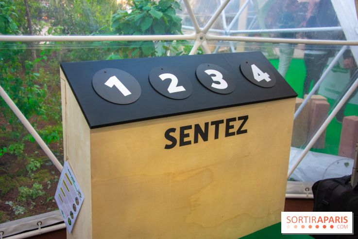 La forêt, une expérience à vivre sur le Parvis de l'Hôtel de Ville