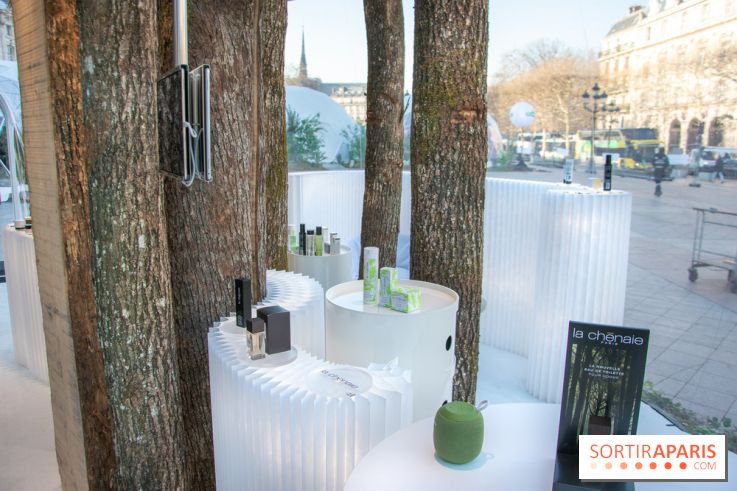 La forêt, une expérience à vivre sur le Parvis de l'Hôtel de Ville