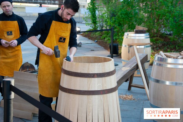 La forêt, une expérience à vivre sur le Parvis de l'Hôtel de Ville
