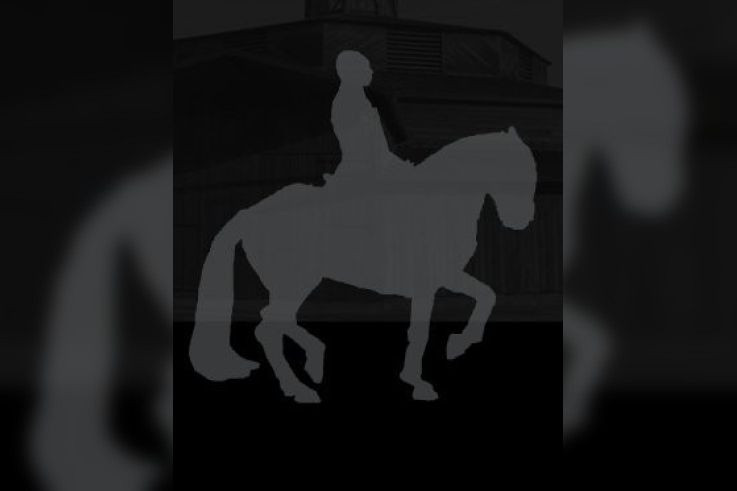 Lever de soleil, Bartabas, Cheval, Académie Equestre, Quartier d'été