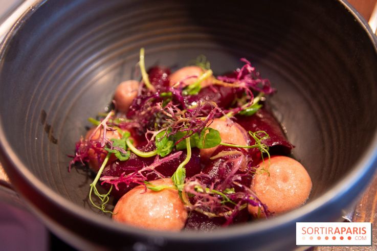 L'escient : nos photos