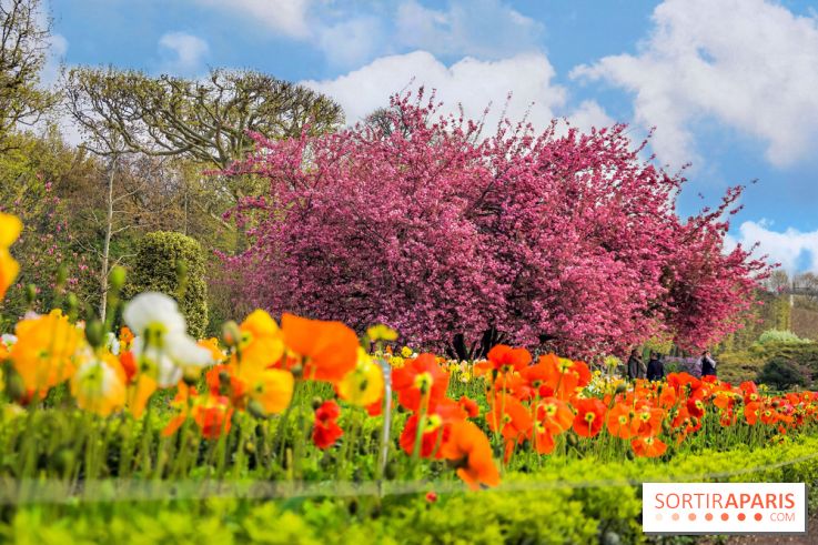 Le Jardin des Plantes
