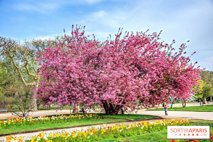 Le Jardin des Plantes
