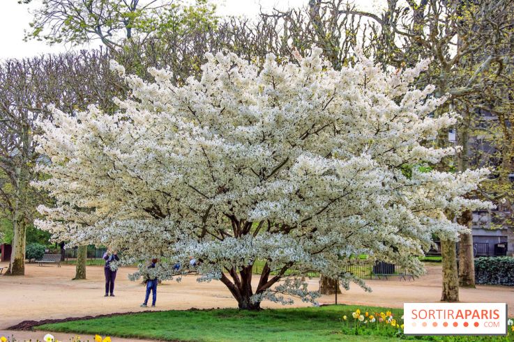 Le Jardin des Plantes