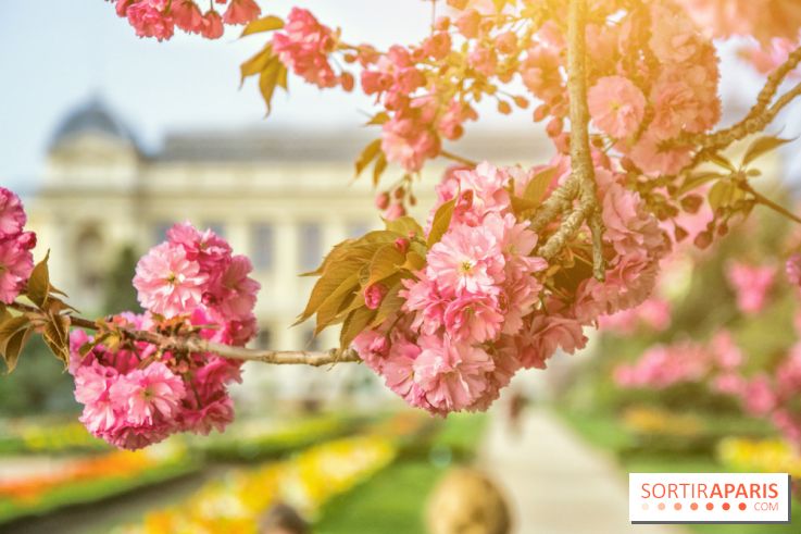 Le Jardin des Plantes