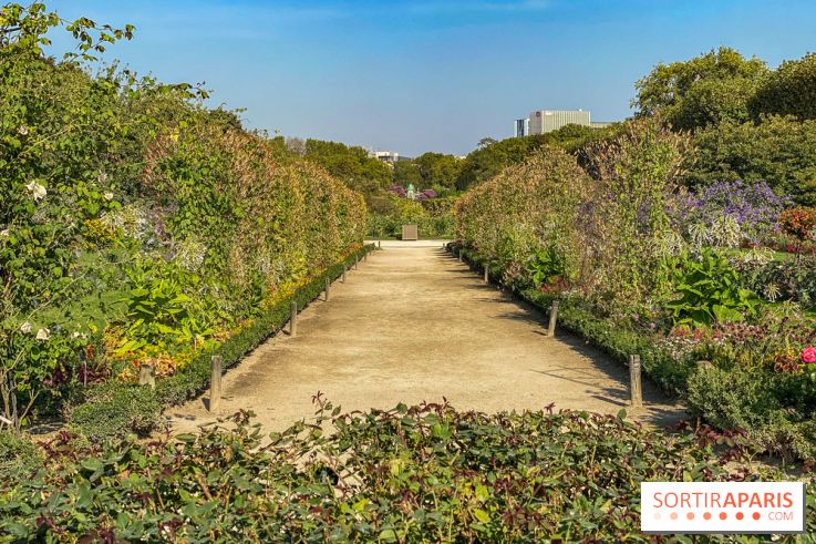 Le Jardin des Plantes