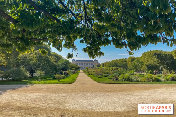 Le Jardin des Plantes