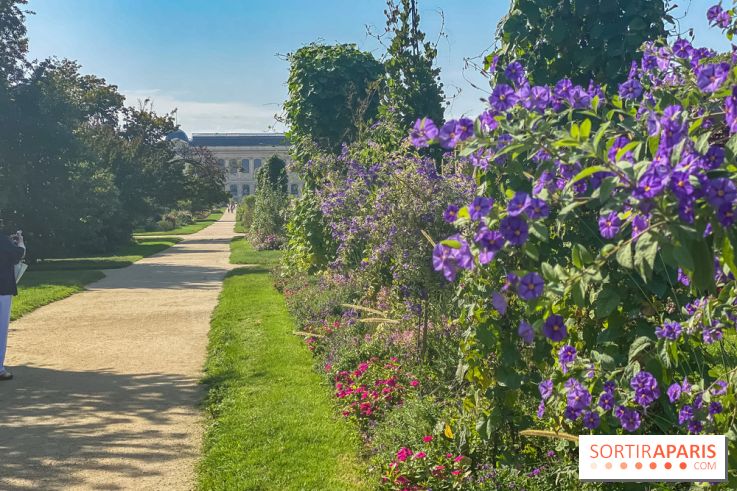 Le Jardin des Plantes
