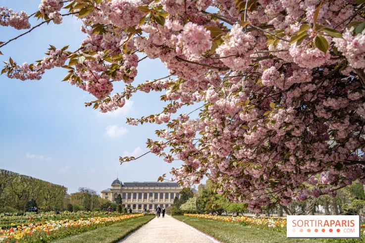 Le Jardin des Plantes