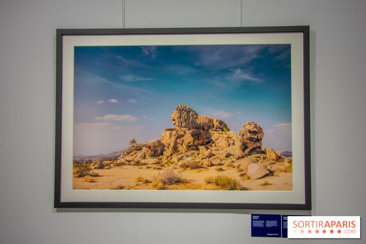 Exposition Unknown Places à la galerie Joseph - Froissart, nos photos