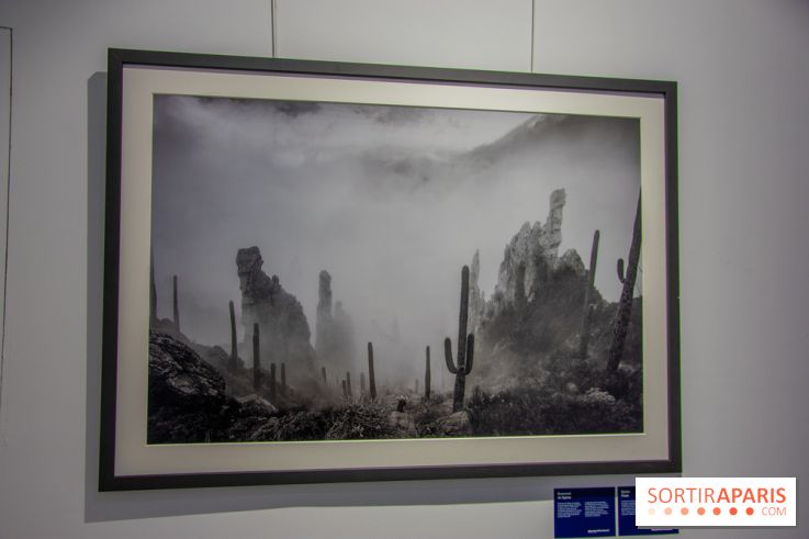 Exposition Unknown Places à la galerie Joseph - Froissart, nos photos