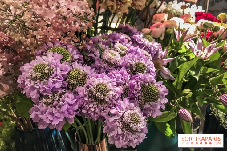 Boya Paris, fleuriste et artisanat