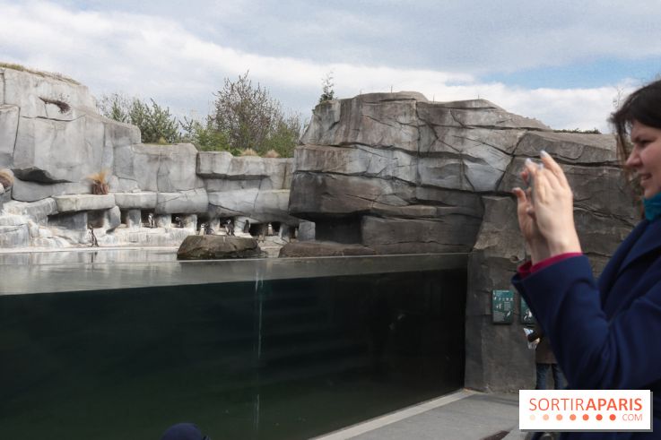 Parc Zoologique de Paris 2019