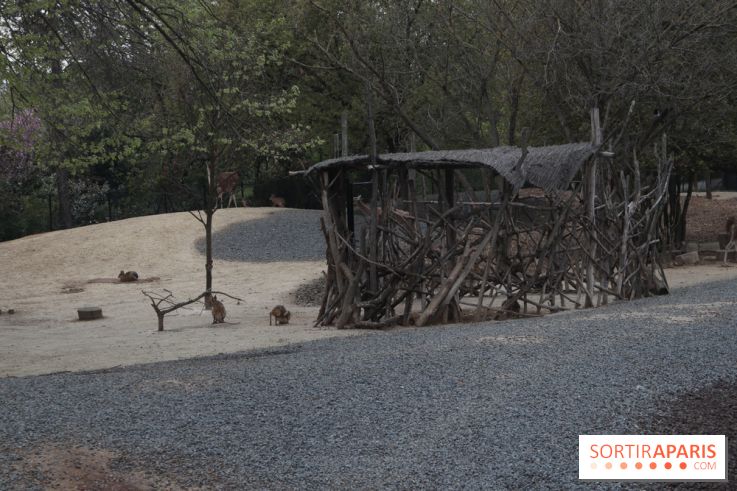 Parc Zoologique de Paris 2019