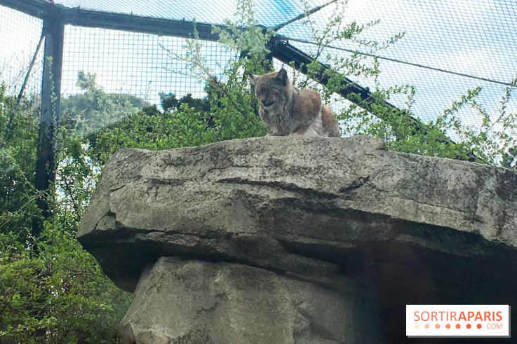 Parc Zoologique de Paris 2019