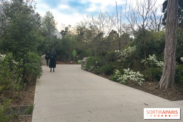 Parc Zoologique de Paris 2019