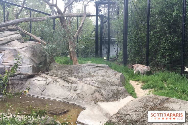 Parc Zoologique de Paris 2019