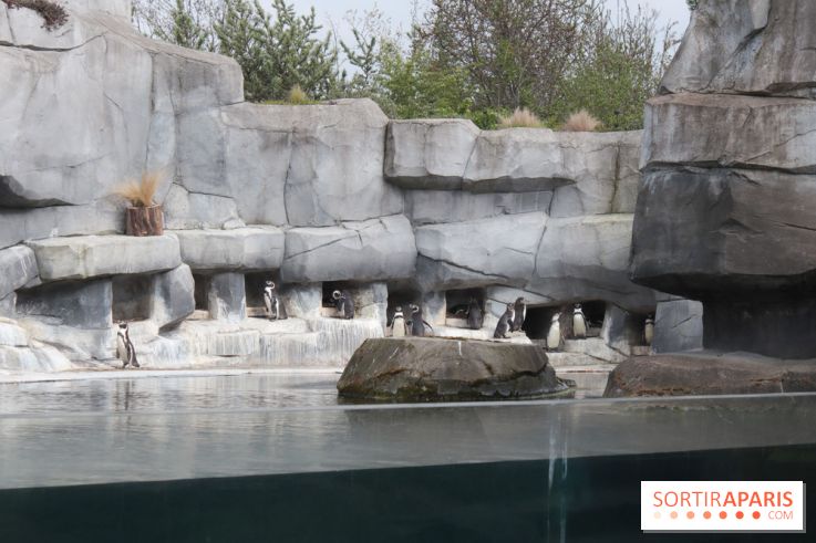 Parc Zoologique de Paris 2019