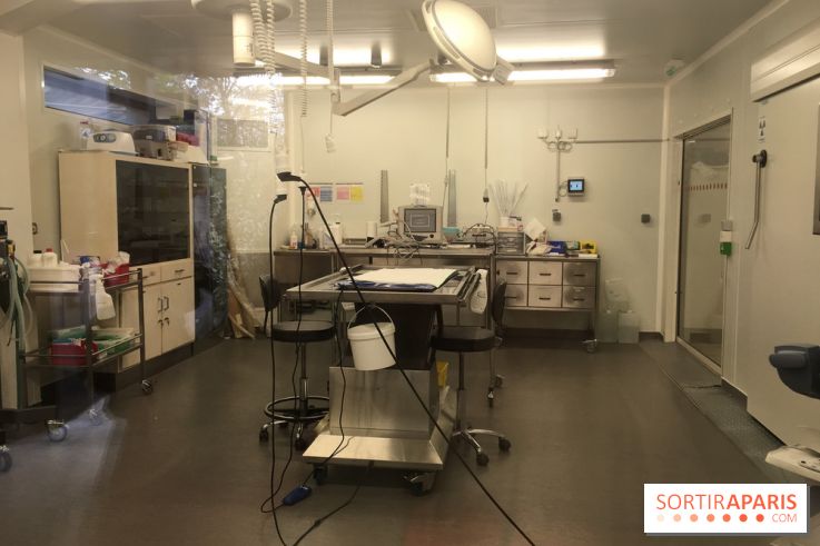 Parc Zoologique de Paris 2019