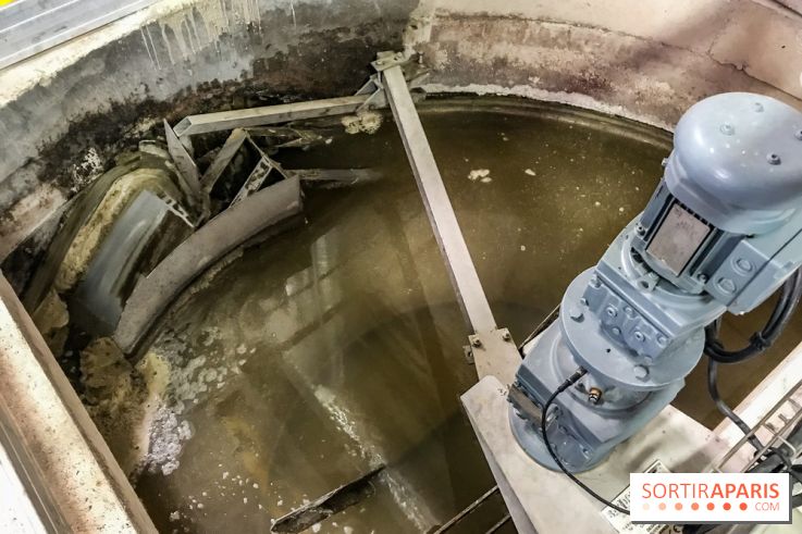 Earth Month à Disneyland Paris