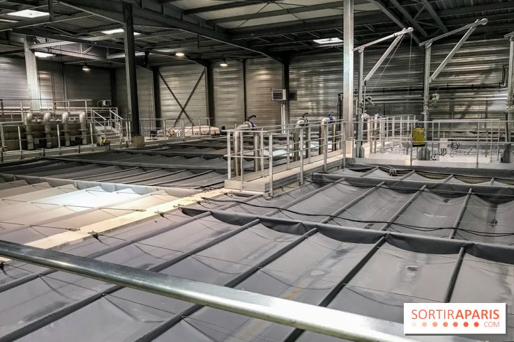 Earth Month à Disneyland Paris