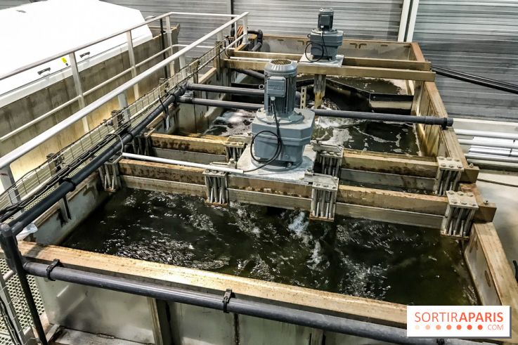 Earth Month à Disneyland Paris