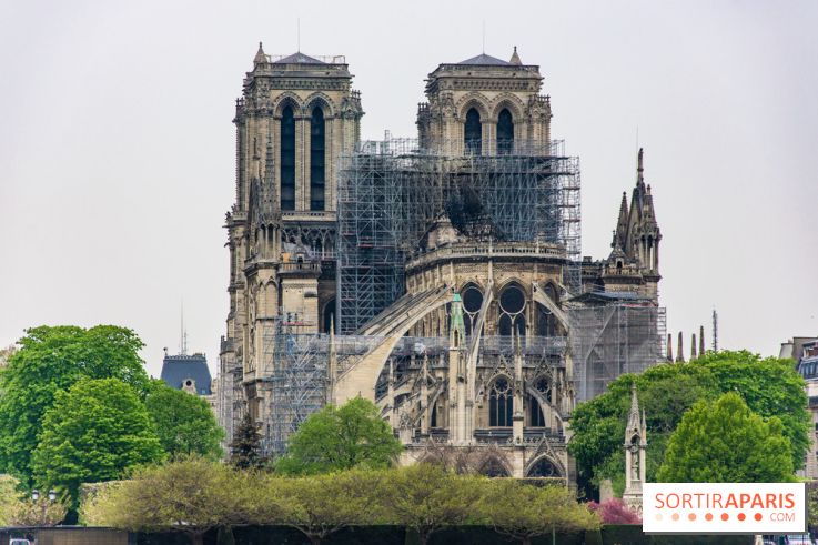 Notre Dame de Paris, les photos des dégâts