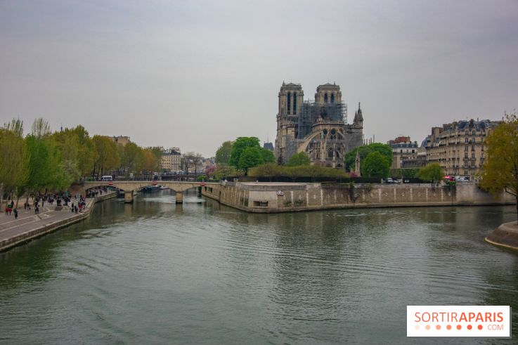 Notre Dame de Paris, les photos des dégâts