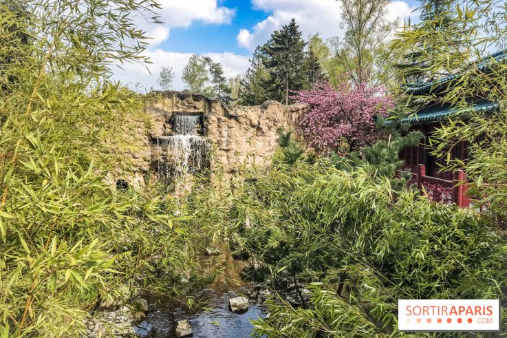 La Mer de Sable 2019, les photos