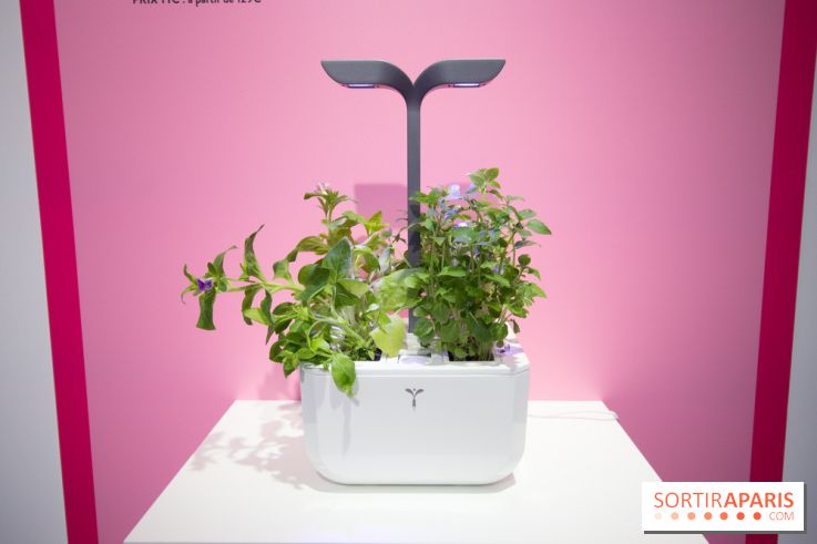 Foire de Paris 2019 : innovation