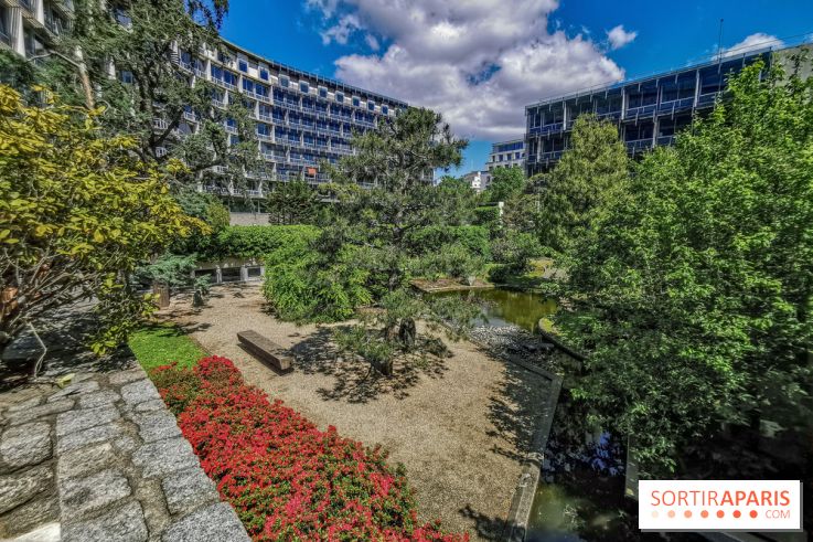 Run My City 2019, les photos