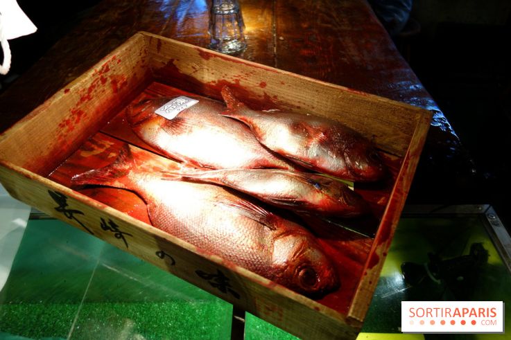 Kodawari Ramen Tsukiji à Paris, les photos