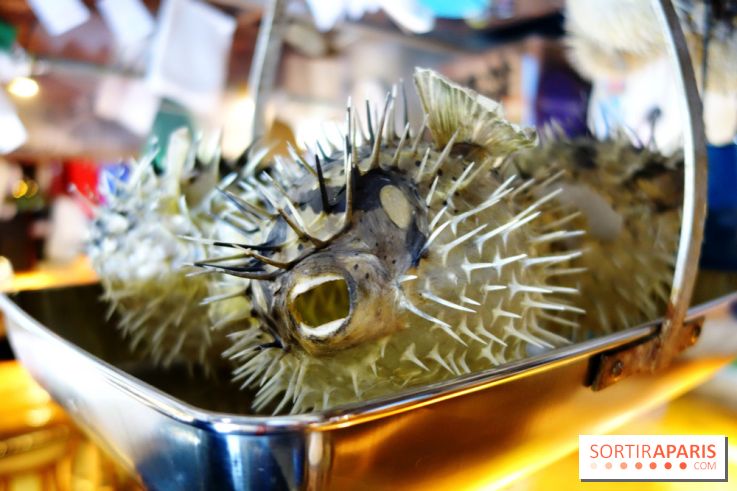 Kodawari Ramen Tsukiji à Paris, les photos