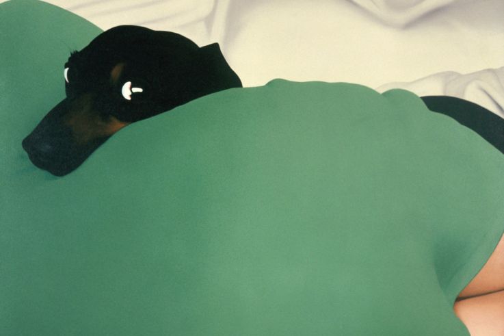 "69 année érotique" à la Galerie T&L