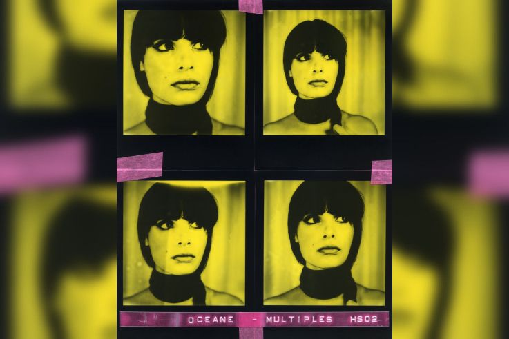 The Analog Festival : la photographie instantanée et les techniques alternatives historiques