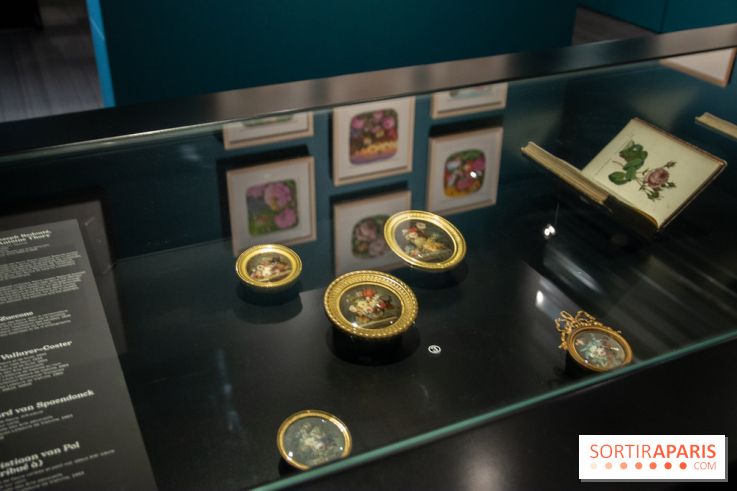 Les drôles de petites bêtes d'Antoon Krings au Musée des Arts Décoratifs : nos photos