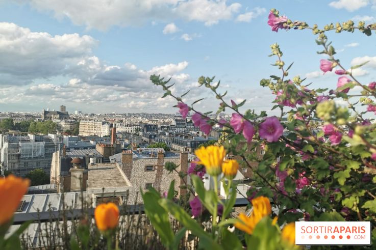 Le Rooftop de la Mutualité by Cucina