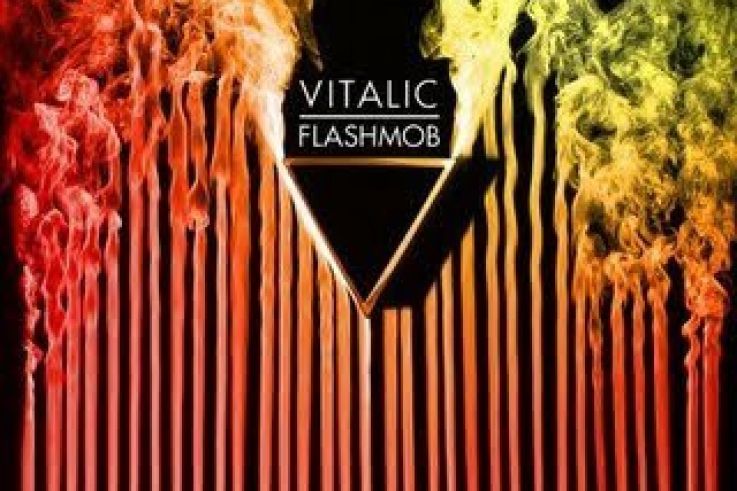 Vitalic, Flashmob, Virgin Megastore, Champs Elysées, Paris, Dj set 