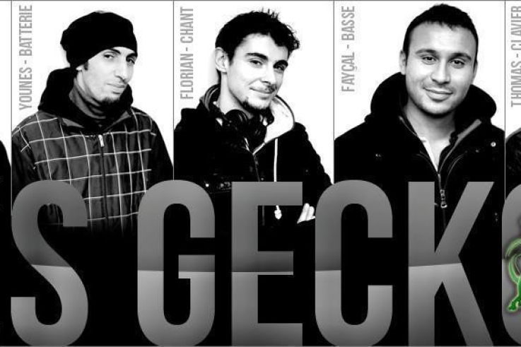 Les Geckos en concert