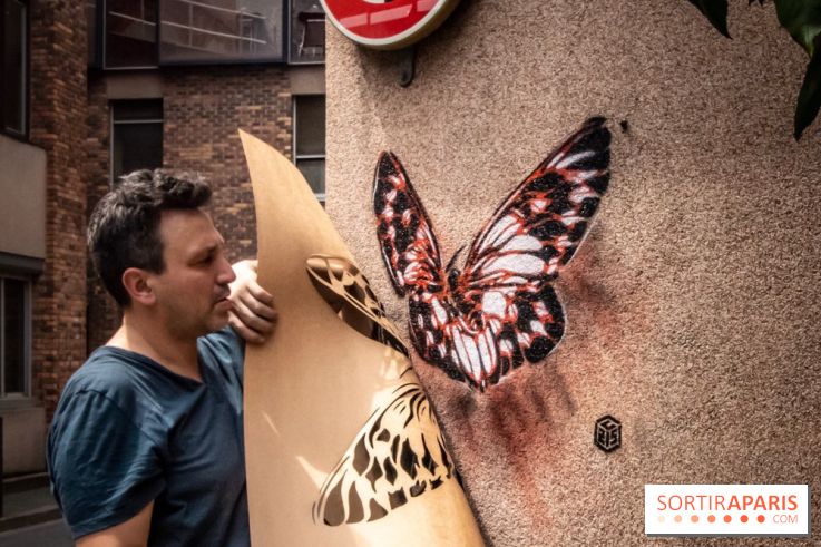 Les Papillons de C215