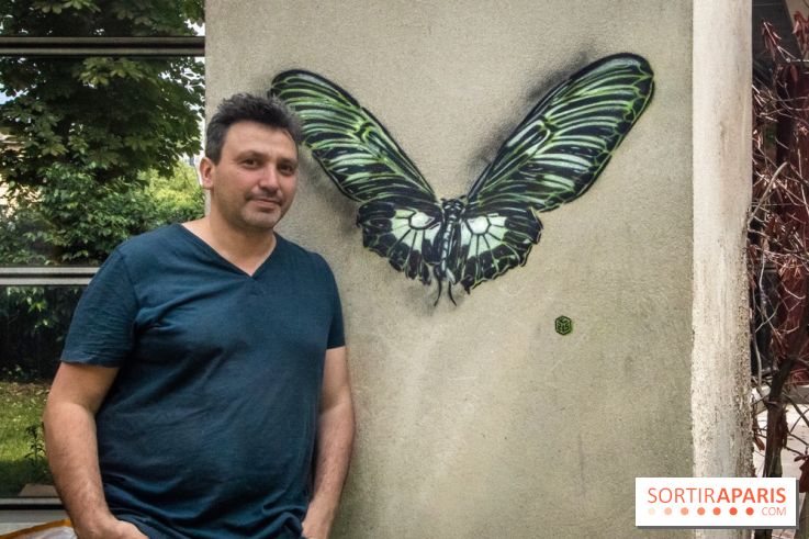 Les Papillons de C215