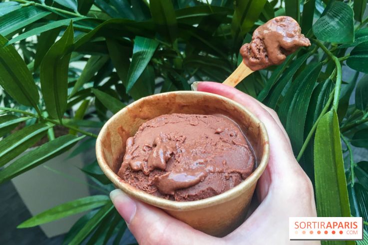 Les glaces au chocolat de Ducasse 