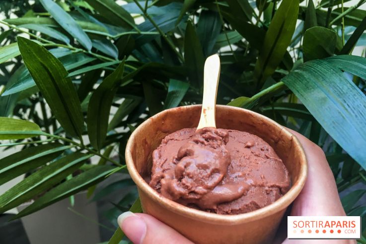 Les glaces au chocolat de Ducasse 