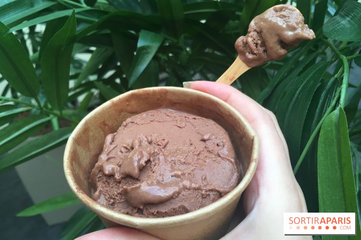 Les glaces au chocolat de Ducasse 